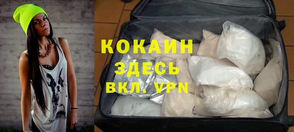 тгк Алзамай