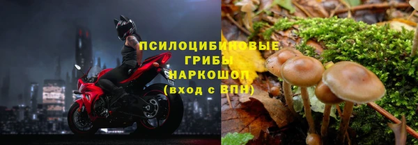 трава Заволжье