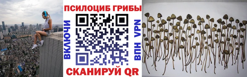 ОМГ ОМГ онион  Таруса  Псилоцибиновые грибы мицелий 